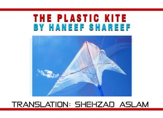 The Plastic Kite By Haneef Shareef